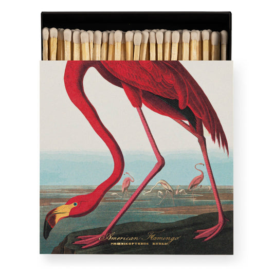 Die Quadratischen Streichhölzer "Der Amerikanische Flamingo" der Archivist Gallery zeigen einen leuchtend rosa Flamingo am Wasser mit anderen im Hintergrund - perfekt als kleines Geschenk.