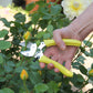 Eine Hand benutzt die Chop Chop Bloom Gartenschere 'Busy Lizzy' mit gelben Griffen, um einen Stiel von einem Rosenstrauch mit grünen Blättern und gelben Knospen zu schneiden. Im Hintergrund zeigt eine blühende gelbe Rose die präzise Schneidleistung.