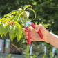 Eine Hand hält die Chop Chop Bloom 'Chili Pepper' exklusive rote Gartenschere und beschneidet einen belaubten Pflanzenzweig im Freien mit verschwommenem Grün im Hintergrund.