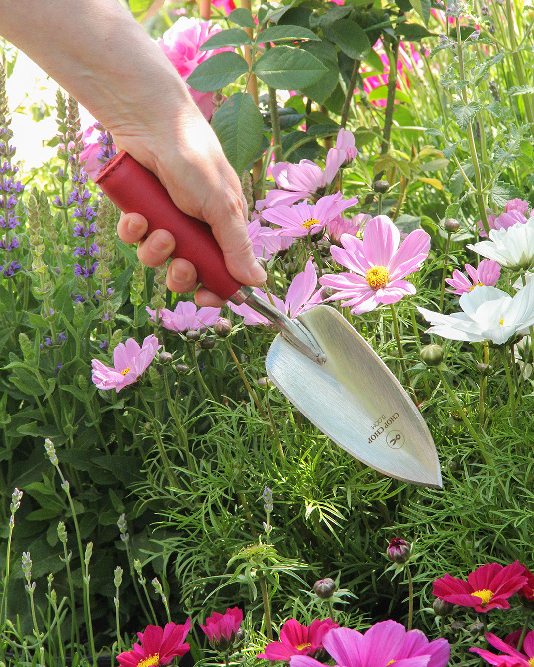 Eine Hand gräbt mit der roten Kelle Chop Chop Bloom 'Chili Pepper' inmitten von blühenden rosa und weißen Blumen in einem üppigen Garten in die Erde.