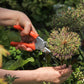 Mit der Chop Chop | Hochwertige orange Gartenschere 'Tiger Lilly' von Chop Chop Bloom schneidet eine Person einen Stiel im Garten und hält dabei einen Strauß runder Blüten.