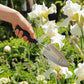 Eine Hand hält die hochwertige, handgefertigte Chop Chop Bloom Schaufel 'Blue Poppy' neben blühenden weißen Iris und anderen Blumen in einem sonnigen Garten.