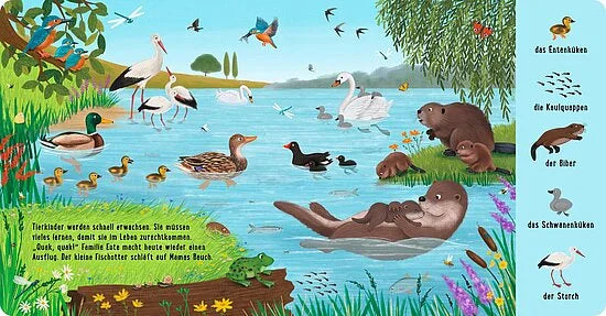 Entdecken Sie die Wunder der Natur mit Mein 100 Tiere-Wimmelbuch aus dem Esslinger Verlag: Enten, Schwäne, Otter, Biber, Frösche und Vögel bevölkern die lebendigen Teichszenen. Deutsche Etiketten lassen Kinder ab 24 Monaten Tiere entdecken in diesem bunten Pappbilderbuch.