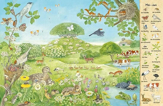 Entdecken Sie "Mein erstes Wimmelbuch | Jahreszeiten ab 12 Monaten" aus dem Esslinger Verlag - eine lebendige Frühlingswiese mit Tieren, Pflanzen und einem Bauernhof, beschriftet in deutscher Sprache. Perfekt für Ihre Jahreszeitenbuch-Sammlung!.
