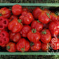 Eine grüne Kiste enthält Reinsaat Tomate 'Red Cavern', einige davon mit Stiel. Eine wird aufgeschnitten, um ihre einzigartige Struktur und ihren aromatischen Geschmack zu zeigen. Die Kiste ruht auf Gras. Wasserzeichen: REIN SAAT.
