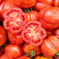 Ein Stapel glänzender, rot-oranger 'Red Cavern' Stabtomaten von Reinsaat, einer halbiert, um sein saftiges Inneres und seinen aromatischen Tomatengeschmack zu enthüllen. In der rechten unteren Ecke ist das REIN SAAT-Logo zu sehen.