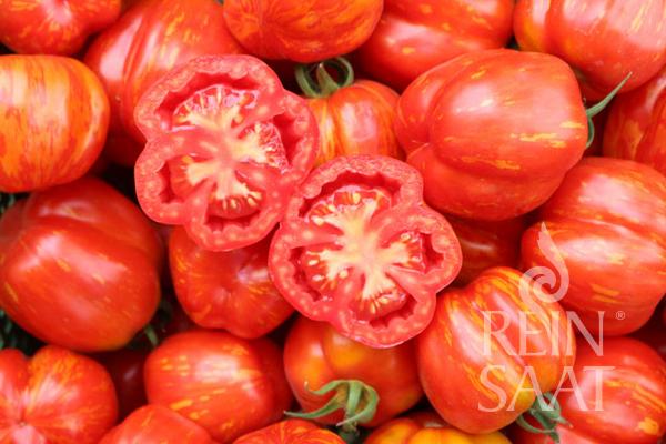 Ein Stapel glänzender, rot-oranger 'Red Cavern' Stabtomaten von Reinsaat, einer halbiert, um sein saftiges Inneres und seinen aromatischen Tomatengeschmack zu enthüllen. In der rechten unteren Ecke ist das REIN SAAT-Logo zu sehen.