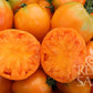 Ein Stapel orangefarbener ReinSaat | Tomate 'Ochsenherz Orange' (Reinsaat) Tomaten, von denen eine halbiert wurde, um ihr saftiges, mit Samen gefülltes Inneres zu enthüllen. In der unteren rechten Ecke ist das REIN SAAT-Logo zu sehen. Es handelt sich um offen befruchtete Tomaten.