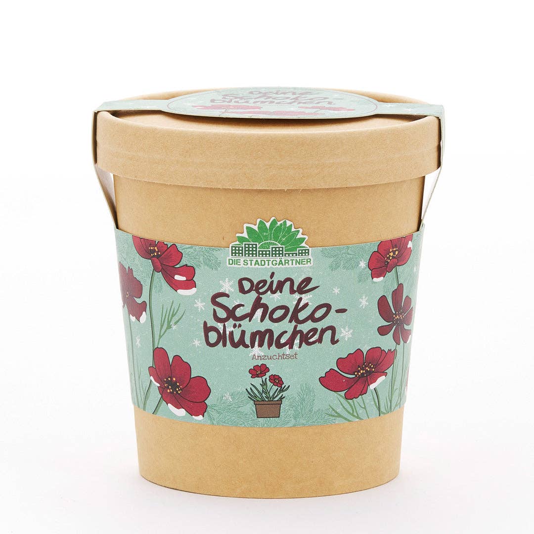 Ein brauner Papiertopf mit einem blumigen Etikett, auf dem auf Deutsch „Deine Schokoblümchen“ auf Deutsch steht, mit roten Blüten und grünen Blättern auf hellblauem Hintergrund – dieses bezaubernde Anzuchtset | Schokoblumen aus dem Becher von TDJ Stadtgärtner GmbH ist die perfekte Geschenkidee für Pflanzenfreunde, die ihre eigene Schokoladenblume selbst ziehen möchten.