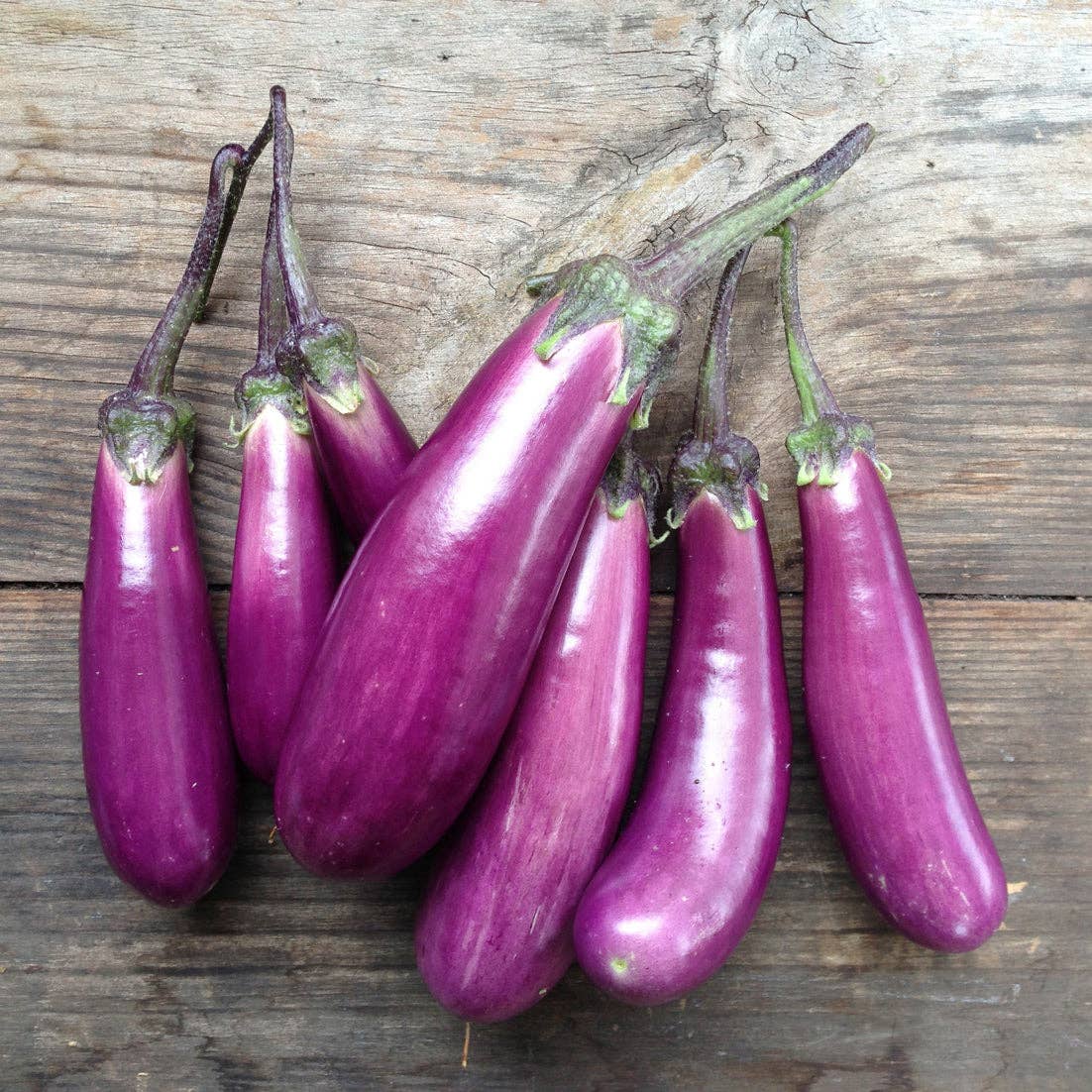 Mehrere schlanke Auberginen 'Slim Jim Eggplant' von Piccolo Seeds, jede mit einem grünen Stiel, sind auf einer rustikalen Holzfläche arrangiert - perfekt, um Ihre Gemüsesammlung auf der Terrasse zu bereichern.