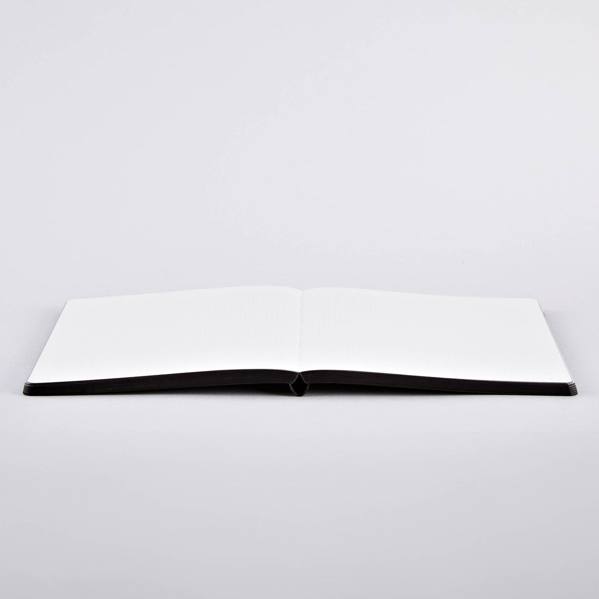 Ein offenes, leeres Notizbuch, wie beispielsweise das nuuna | „Genesis“ Notizbuch Not Ordinary L Light im Format A5+, liegt flach auf einer weißen Oberfläche, wobei beide Seiten leer sind. Die Seiten aus hochwertigem Notizbuchpapier weisen ein dezentes Punktraster auf und werden von vorne vor einem schlichten weißen Hintergrund betrachtet.