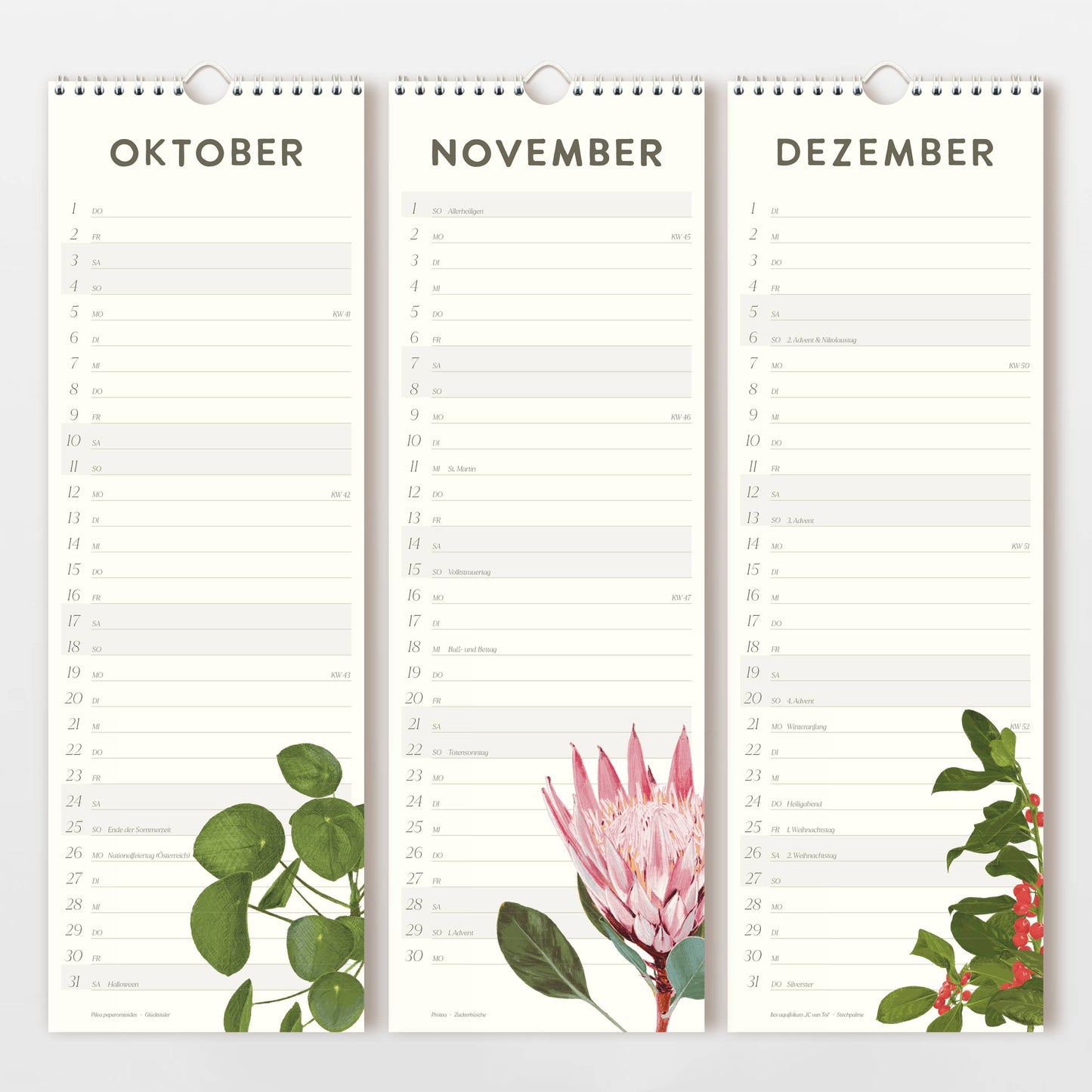 Der Wildblumen Atelier Wandkalender 2026 zeigt die Monate Oktober, November und Dezember in deutscher Sprache, jeweils mit handgezeichneten Blumen und linierten Tagesplätzen auf FSC-zertifiziertem Naturpapier.