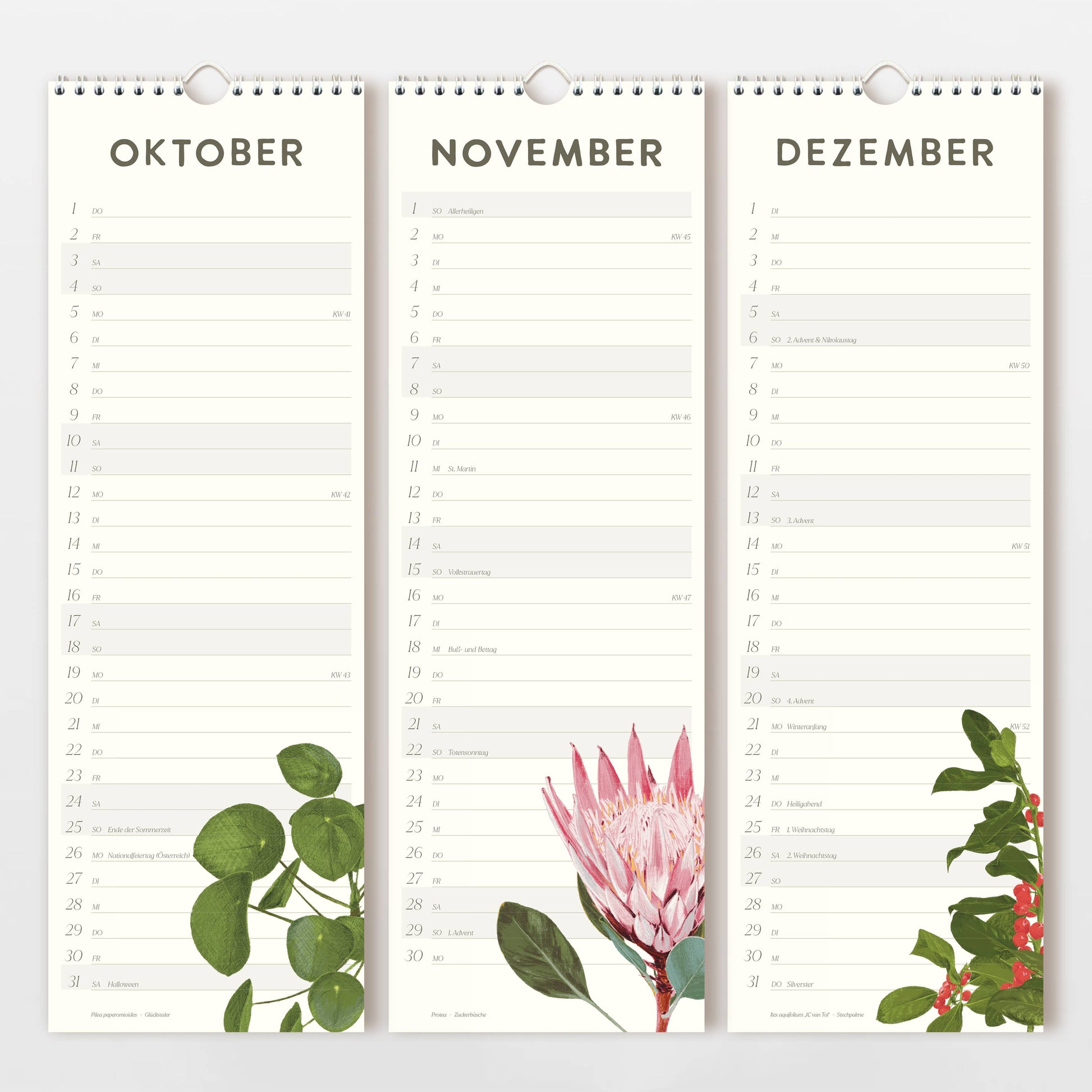 Der Wildblumen Atelier Wandkalender 2026 zeigt die Monate Oktober, November und Dezember in deutscher Sprache, jeweils mit handgezeichneten Blumen und linierten Tagesplätzen auf FSC-zertifiziertem Naturpapier.