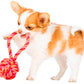 Ein kleiner braun-weißer Welpe steht auf drei Beinen und hält einen rosa-orangefarbenen LABONI | Hundespielzeug mini Schleuderball im Maul, der verspielt und energiegeladen aussieht - ideal für die Zahnpflege für Hunde.