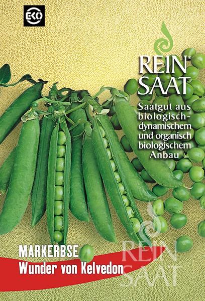 Eine Reinsaat-Samentüte für Markerbse 'Wunder von Kelvedon', mit frischen grünen Erbsenschoten, einige davon offen. Text: Saatgut aus biologisch-dynamischem und organisch-biologischem Anbau. Ertragsreiche Pisum sativum Sorte. Marke: Reinsaat.