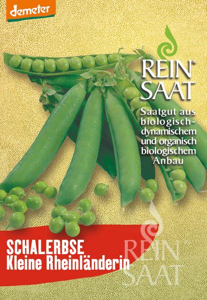 Eine Packung mit Samen von Reinsaat | Schalerbse 'Kleine Rheinländerin' zeigt frische grüne Erbsen. Auf dem Etikett steht, dass es sich um eine frühe, biologische und biodynamische Sorte von Reinsaat handelt. Die gelbe Packung ist am unteren Rand mit einem roten Banner versehen.