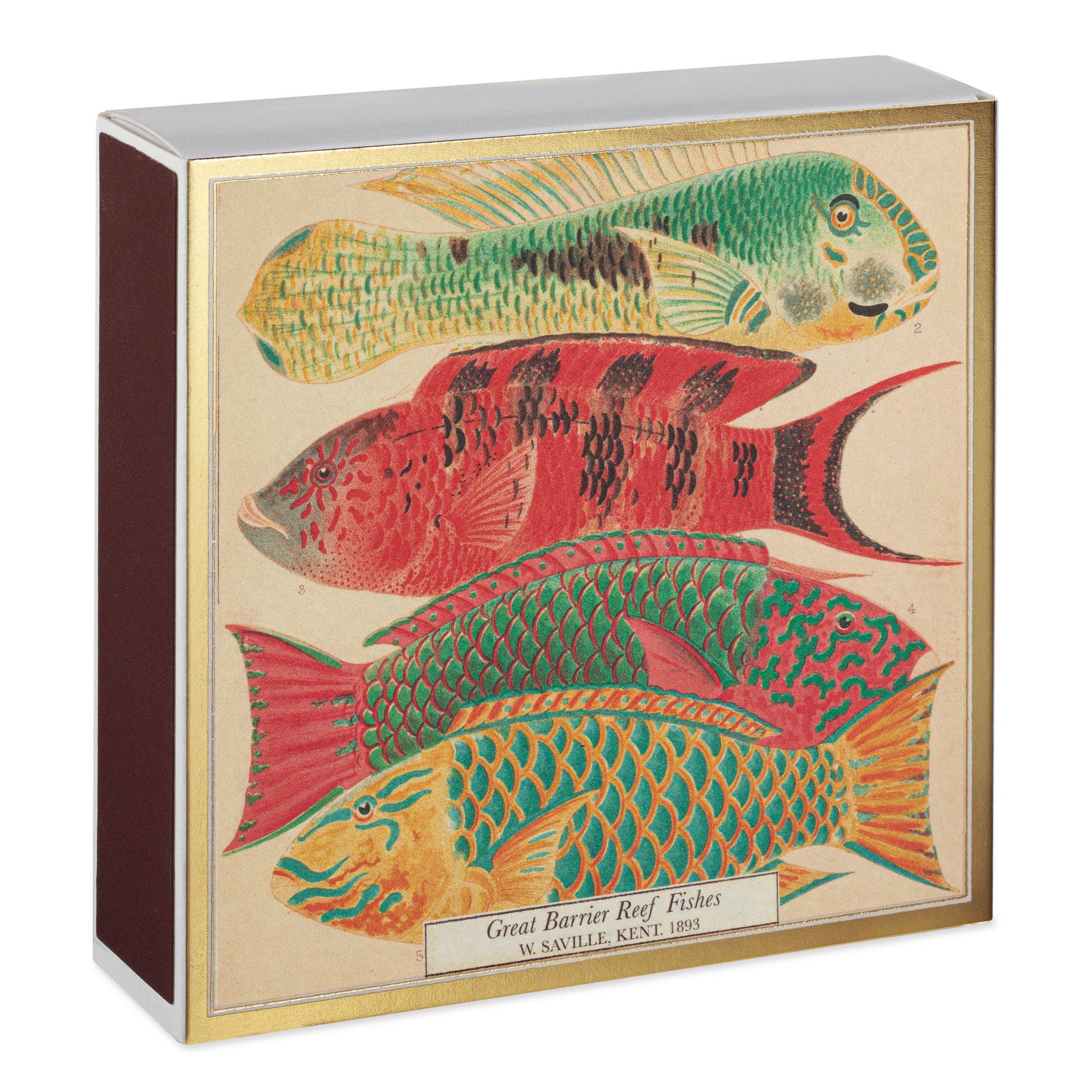 Die 'Fisch' Quadratische Sicherheitsstreichhölzer der Archivist Gallery haben ein illustriertes Etikett mit vier bunten Fischen in den Farben Rot, Grün und Gelb sowie "Great Barrier Reef Fishes, W. Saville Kent, 1893" in einem goldumrandeten Rahmen.