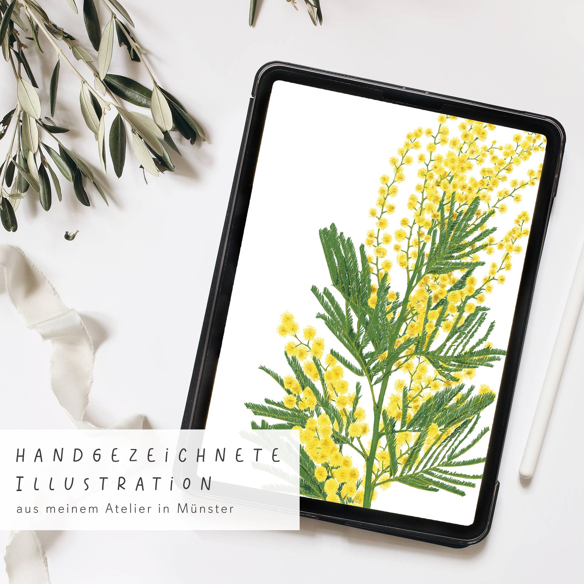 Der Wildblumen Atelier Wandkalender 2026 zeigt handgezeichnete Blumen-Mimosen mit gelben Blüten, grünen Blättern, Olivenzweigen und einem Hinweis auf FSC-zertifiziertes Naturpapier aus dem Atelier in Münster.