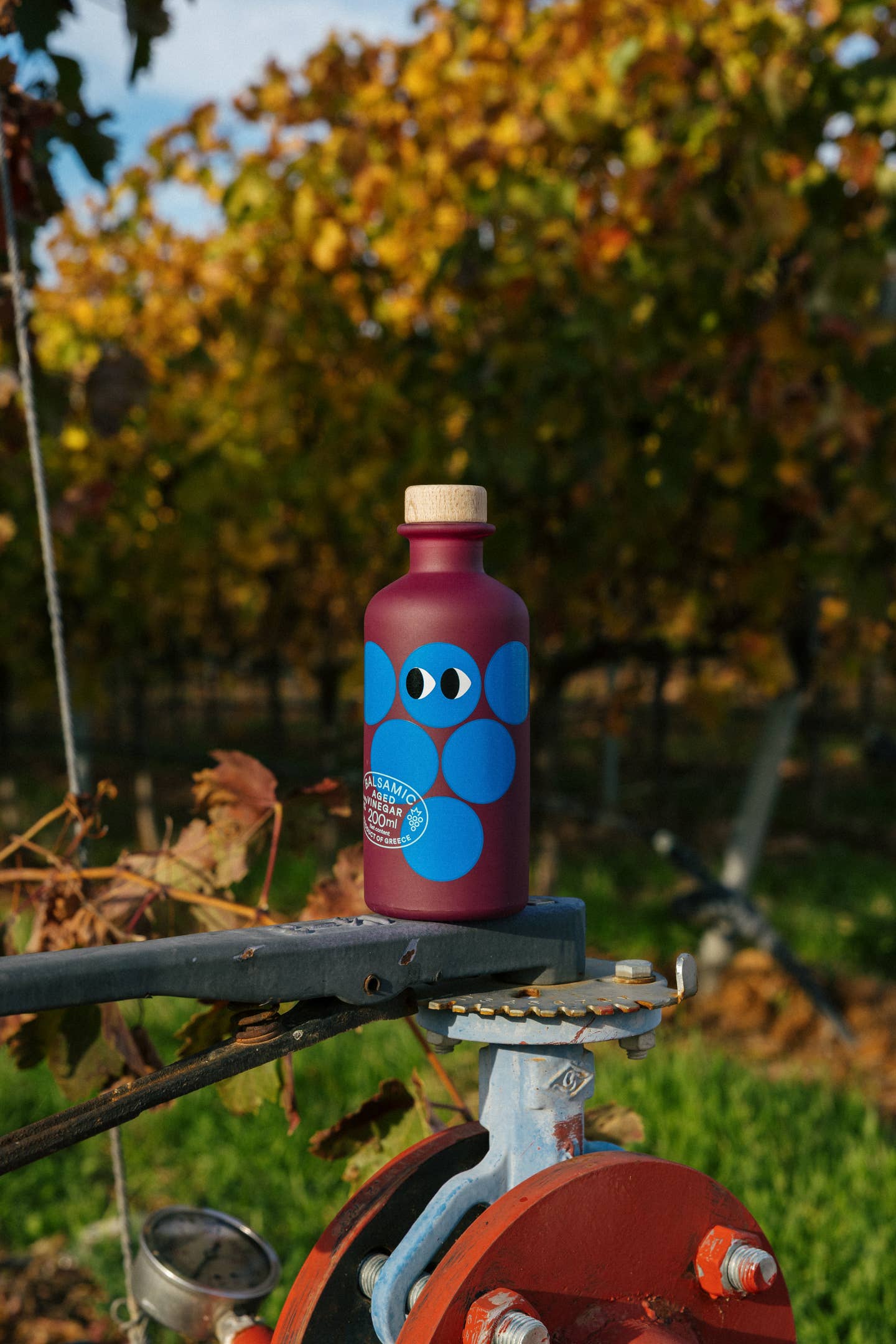 Eine lilafarbene Flasche mit blauen Kreisen, Cartoon-Augen und einer Holzkappe - Yiayia and friends Gereifter Balsamico-Essig 200 ml - steht im Freien auf Metall, während im Hintergrund grünes Gras und herbstliche Weinreben verschwimmen.