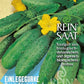 Eine Reinsaat-Samenpackung für die Einlegegurke 'Vorgebirgstrauben' (Cucumis sativus) zeigt gelbe Blüten, grüne Blätter und den Hinweis "Saatgut aus biologisch-dynamischem und organisch-biologischem Anbau".