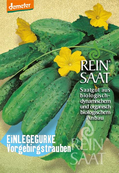Eine Reinsaat-Samenpackung für die Einlegegurke 'Vorgebirgstrauben' (Cucumis sativus) zeigt gelbe Blüten, grüne Blätter und den Hinweis "Saatgut aus biologisch-dynamischem und organisch-biologischem Anbau".