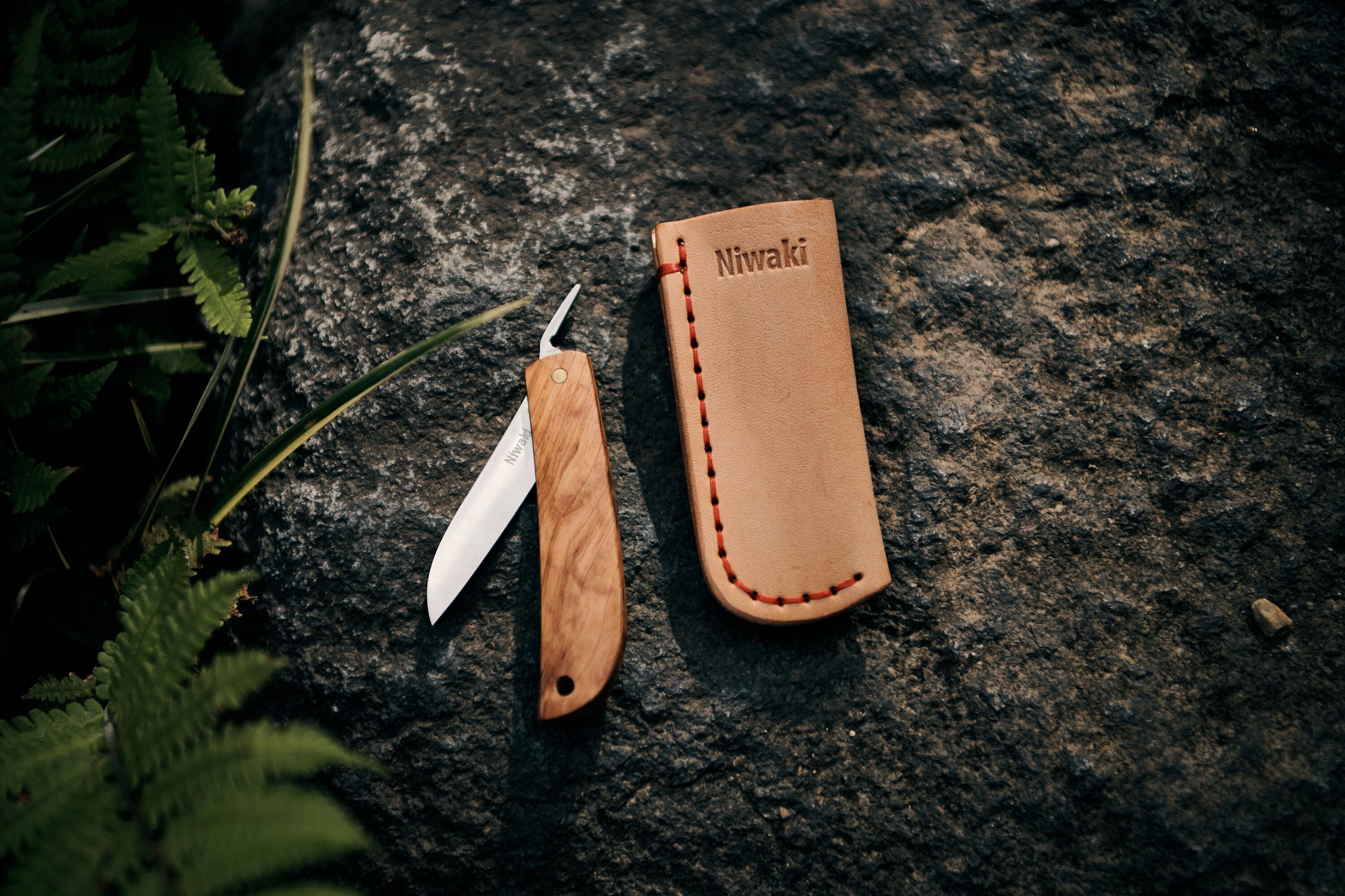 Ein Niwaki | 'Kotoh X Niwaki Knife' Taschenmesser mit Schutzhülle aus Leder liegt mit geöffnetem Holzgriff auf einem Felsen neben der tanfarbenen, Niwaki-gebrandeten Lederschutzhülle, umgeben von grünen Farnen - ideal für Gartenarbeit.