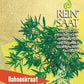 Eine Packung Bio-Samen Reinsaat | Bohnenkraut (von Reinsaat), ein würziges Kraut, das für seinen aromatischen Geschmack bekannt ist, mit grünen Blättern auf gelbem Hintergrund, deutschem Text und dem Logo von Bio Austria.