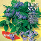 Saatgutpackung mit grünblättrigem, blau blühendem Borago officinalis. Der deutsche Text wirbt für Bio-Demeter-Borretsch-Samen von Reinsaat, wobei "Borretsch" in Rot auf Gelb und der Markenname Reinsaat abgebildet sind.