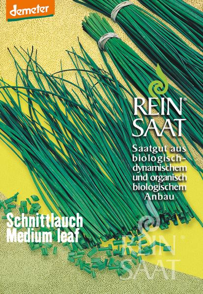 Bündel von frischem grünem Schnittlauch mit der Aufschrift ReinSaat | Schnittlauch Medium leaf von Reinsaat werden auf einer gelben Fläche mit einer Verpackung präsentiert, auf der ein deutscher Text über biologisches, biodynamisches, mehrjähriges Saatgut steht.