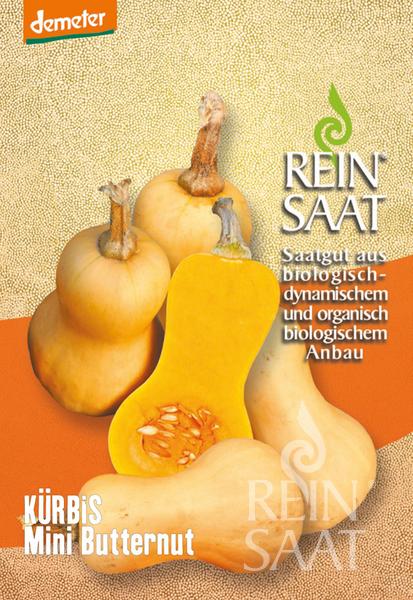 Vier Mini Butternut-Kürbisse von Reinsaat, einer davon aufgeschnitten, so dass das orangefarbene Fruchtfleisch und die Kerne sichtbar werden, liegen auf einer orangefarbenen Fläche. Der Text lautet "ReinSaat | Kürbis 'Mini Butternut'". Oben links erscheint das Demeter-Logo. Perfekt für Single-Küchen.