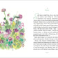 Ein Aquarell mit Wildblumen und Gräsern im Stil von Raoul Dufy Aquarelle ziert die linke Seite. Auf der rechten Seite steht ein deutscher Text mit dem Titel "Colette | Mein Blumenalbum" vom Insel Verlag, mit einer grünen Initiale auf sauberem weißen Hintergrund.