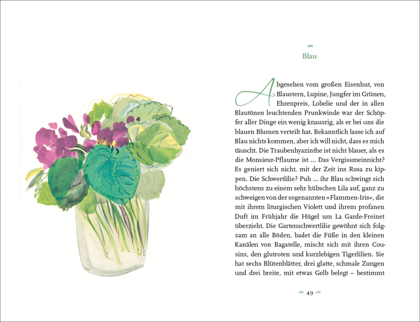 Links ist ein Aquarell einer Glasvase mit violetten Blüten und grünen Blättern abgebildet. Rechts ist eine Seite aus Colette | Mein Blumenalbum vom Insel Verlag unter "Blau" mit einem grünen Zierbuchstaben A am Anfang des Textes abgebildet.