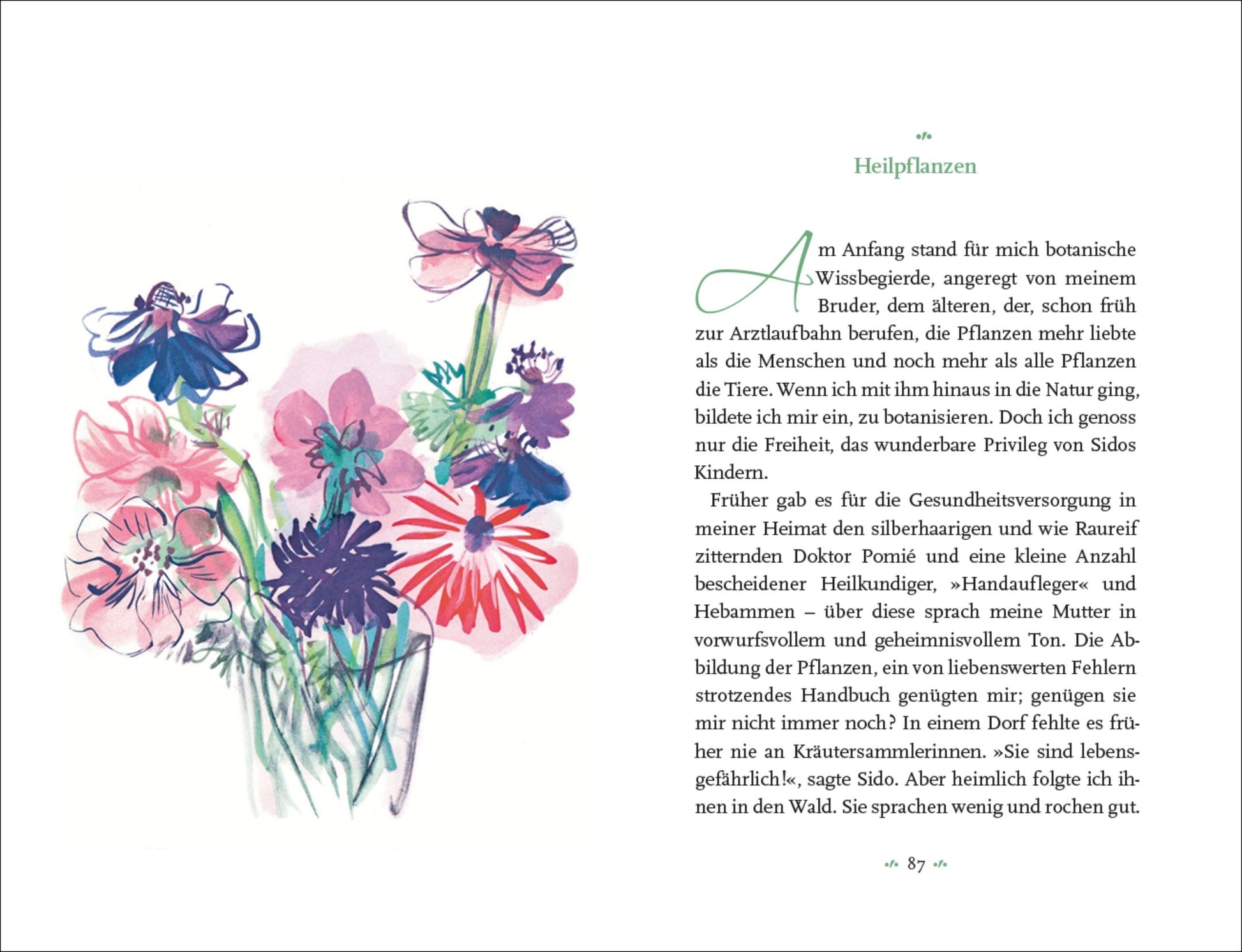 Eine illustrierte Seite aus Colette | Mein Blumenalbum vom Insel Verlag zeigt auf der linken Seite lebendige, handgemalte Wildblumen im Stil von Raoul Dufy und auf der rechten Seite einen deutschen Text über Heilpflanzen".