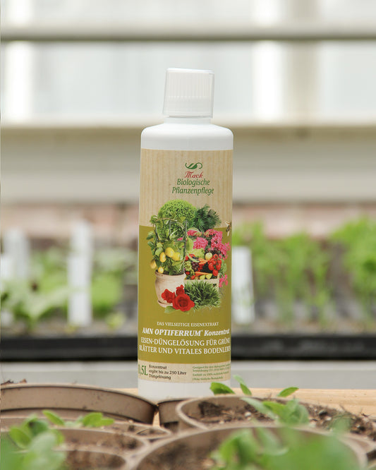 Eine weiße 0,5-Liter-Flasche AMN 'Optiferrum' Organischer Spurennährstoffdünger und Bodenvitalstoff steht beschriftet zwischen jungen grünen Setzlingen in einem Gewächshaus, auf deren Verpackung verschiedene Gemüse und Kräuter abgebildet sind.