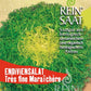 Saatgutpaket Reinsaat | Endiviensalat 'Très fine Maraîchère' von Reinsaat mit einem Foto von grünen, fein gekräuselten Endivienblättern und einem deutschen Text mit Informationen zum ökologischen Anbau.