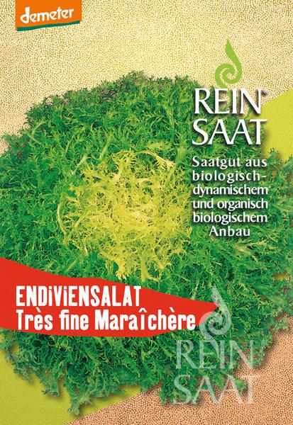 Saatgutpaket Reinsaat | Endiviensalat 'Très fine Maraîchère' von Reinsaat mit einem Foto von grünen, fein gekräuselten Endivienblättern und einem deutschen Text mit Informationen zum ökologischen Anbau.