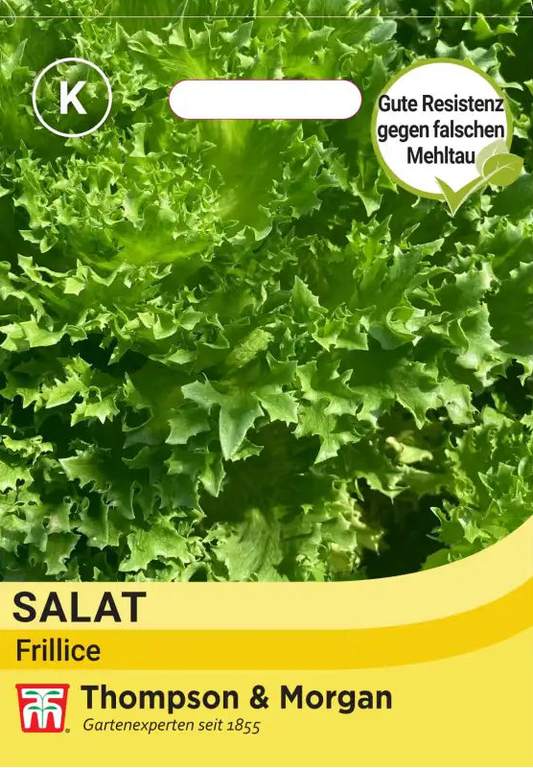 Eine Thompson und Morgan | Salat 'Frillice' Samenpackung mit einer blattreichen Nahaufnahme und dem deutschen Etikett "Gute Resistenz gegen falschen Mehltau." Perfekt als Salatsamen!.
