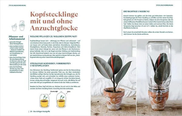 In einer deutschen Zeitschrift wird unter dem Titel "So einfach ist Pflanzenvermehrung" vom Bassermann Verlag gezeigt, wie man Zimmerpflanzen mit oder ohne Glas vermehren kann - illustriert durch einen Gummipflanzenschnitt, der mit einem umgedrehten Glasgefäß abgedeckt und wieder freigelegt wird.