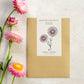 Ein brauner Umschlag mit der Aufschrift Jora Dahl | Helichrysum bracteatum 'Silvery Rose' (Strohblume) liegt auf einer hellen Fläche neben drei rosafarbenen Strohblumen mit gelber Mitte und einer botanischen Illustration.