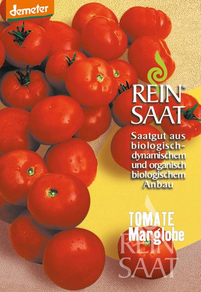 Eine Traube reifer roter ReinSaat Tomate 'Marglobe' ist auf einem gelb-orangen Hintergrund abgebildet. Der Text lautet: Reinsaat Saatgut aus biologisch-dynamischem und organisch-biologischem Anbau. Ideal für Gewächshaus und Freiland.