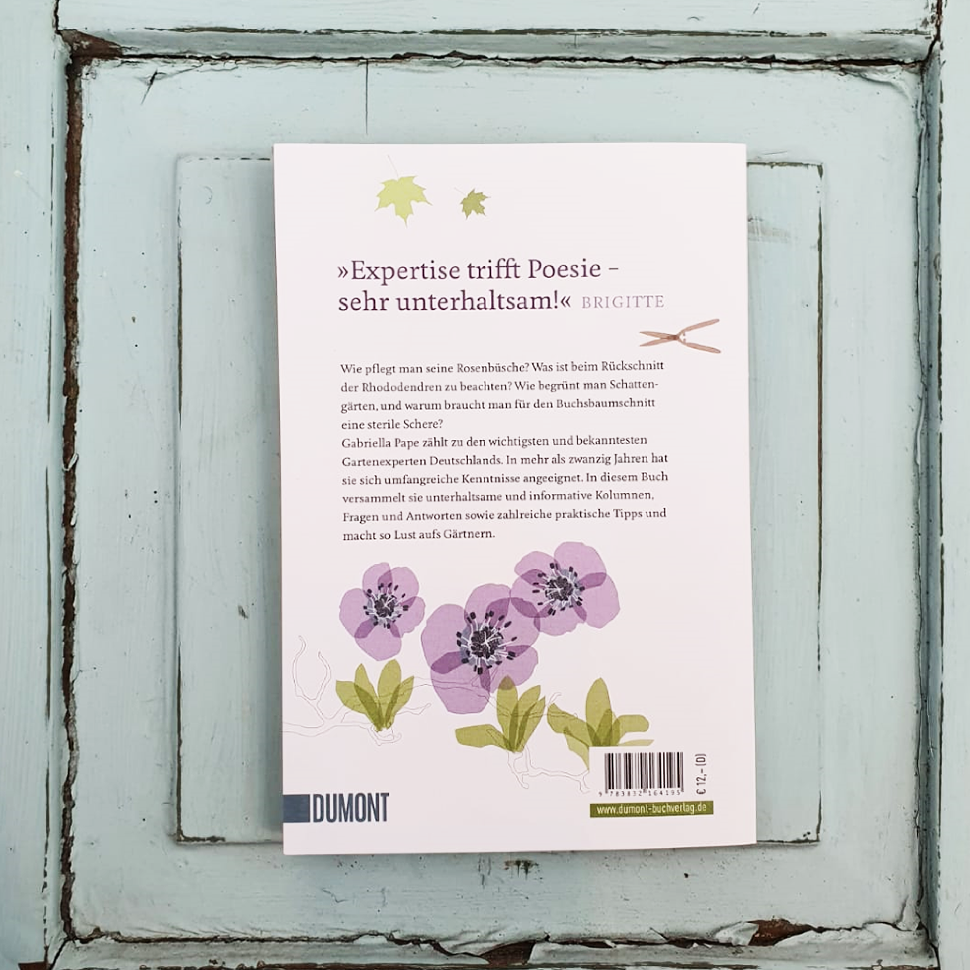 Die Rückseite des deutschen Gartenbuchs von Gabriella Pape, "Alles was Sie schon immer übers Gärtnern wissen wollten", ruht auf einer gestörten, tealfarbenen Holzoberfläche mit lila Blüten, grünen Blättern, Text oben und einem Strichcode unten.