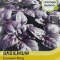 Basilikum Crimson King - Königliche Gartenakademie