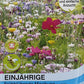 Einjährige Frühblühende Mischung - Königliche Gartenakademie