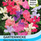 Gartenwicke Here Come The Girls - Königliche Gartenakademie