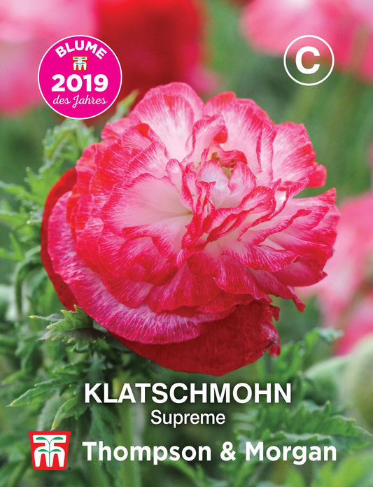 Klatschmohn Supreme - Königliche Gartenakademie