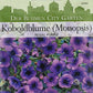 Eine Packung Thompson und Morgan Koboldblume (Monopsis) Regal Purple Samen zeigt mitternachtsblaue Blüten, deutschen Text, und eine Stadtsilhouette. Diese kompakte südafrikanische Pflanze ist ideal für Hängekörbe.