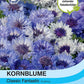 Kornblume Flockenblume Classic Fantastic - Königliche Gartenakademie