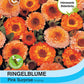 Ringelblume Pink Surprise - Königliche Gartenakademie