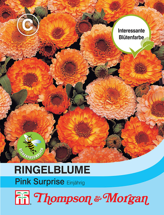 Ringelblume Pink Surprise - Königliche Gartenakademie
