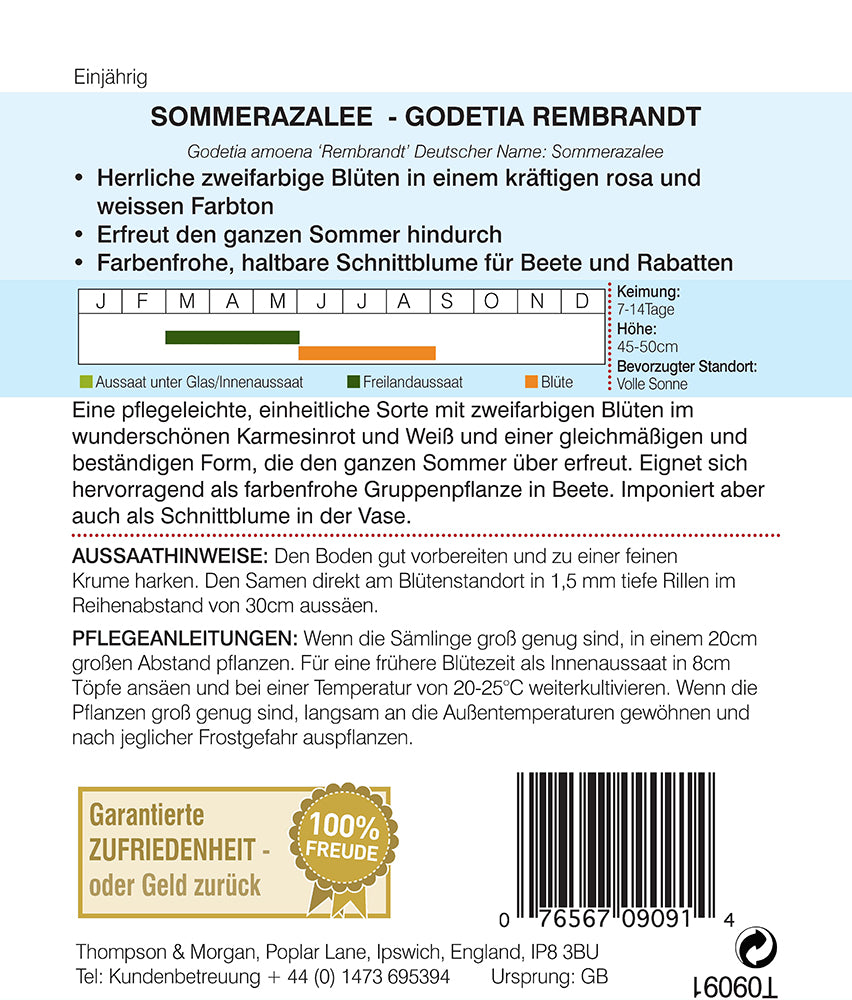 Sommerazalee  Godetia 'Rembrandt' - Königliche Gartenakademie